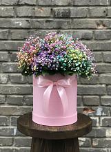 Цветочная композиция из Гипсофила и Розы в шляпной коробке #REPLACE_PRED# Романовке