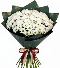 Букет цветов из:  Хризантемы #REPLACE_PRED# Романовке