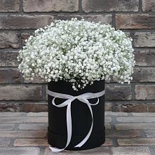 Цветочная композиция из Гипсофила в шляпной коробке в Романовке