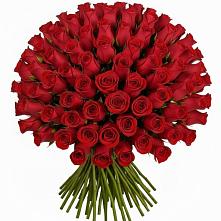 Букет Красные розы Чери Лав #REPLACE_PRED# Романовке