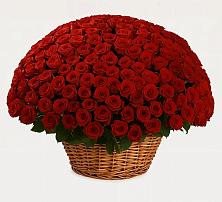 Премиум букет из: Розы #REPLACE_PRED# Романовке